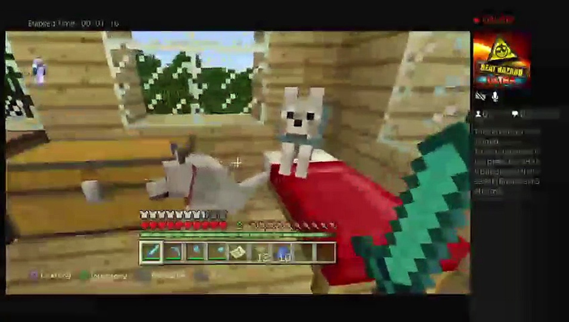 Minecraft survival #1 (22)