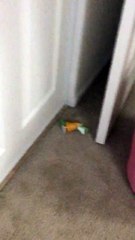 mrs crawly falling off door