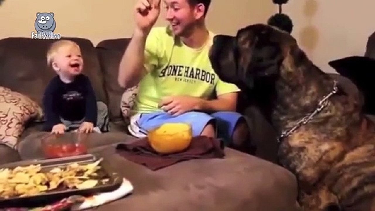 Baby Laughing At Dogs Part 3