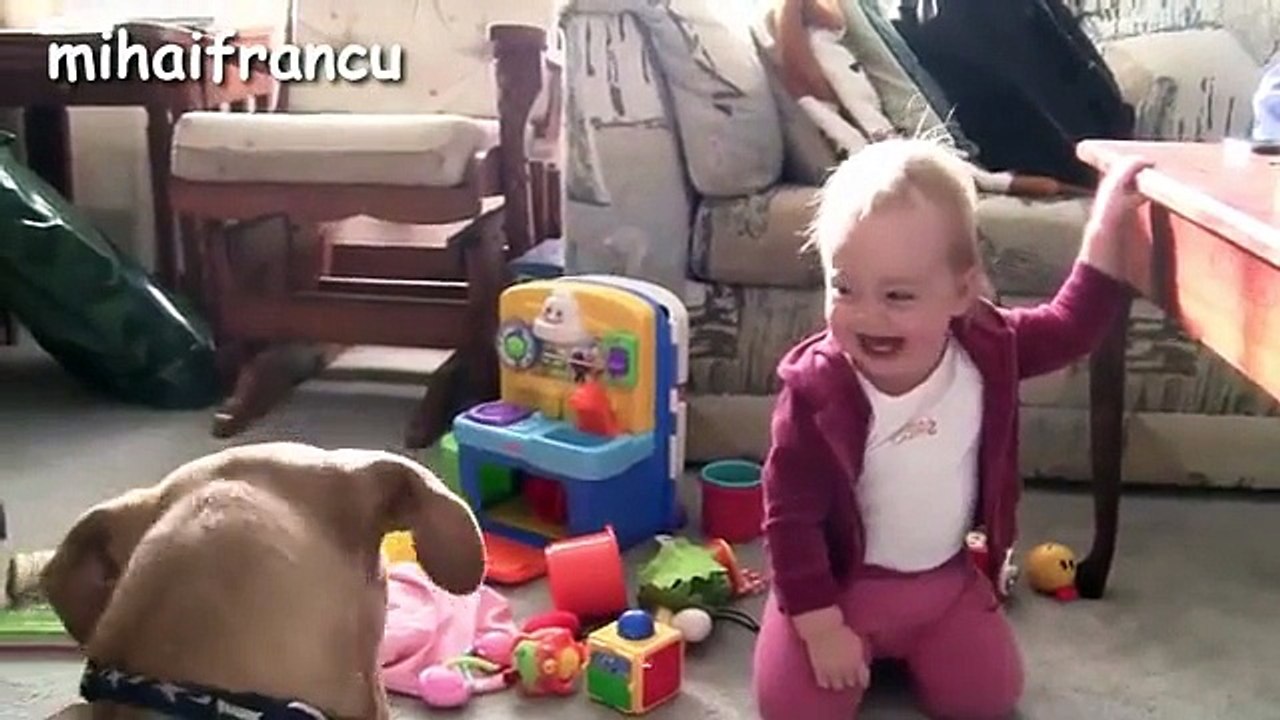 Babies Laughing At Dogs Eating Bubbles(LAST VIDEO FOR TODAY)