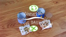 Tuto DIY  - Les lentilles _ Les Daily Craft de Pandacraft sur Gulli-DOwWdIM_GfA