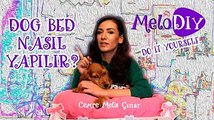 Dog Bed - Köpek Yatağı Nasıl Yaparım | Cemre Melis Çınar - MeloDIY