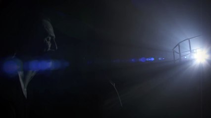 CALOGERO AU CINÉMA - Extrait 'LE PORTRAIT'-eAGKP1doa5A