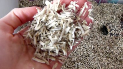 Gerbil Tank Tour   IKEA Detolf