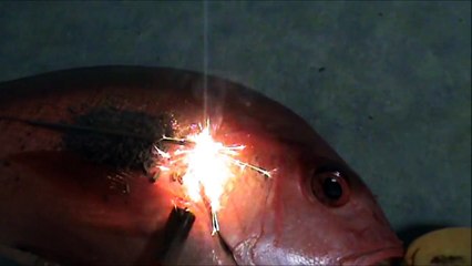 How To Correctly Cook Salmon-WkCxXErb2Ag