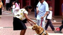 Dog Getting Its Geek On! - JFL Gags Asia Edition