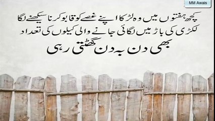 Gusa kase zindge barbad kr dyta hy - ayse video jo ap ko sochne pr majbore kr de ge