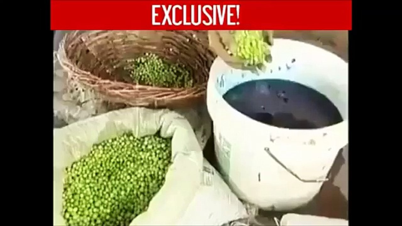 Dangerous food - What kind of pathetic world is this ?