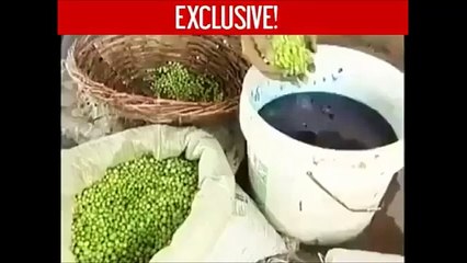 Dangerous food - What kind of pathetic world is this ?