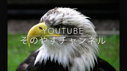 Youtubeチャンネル