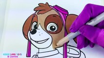 Nickelodeon Skye Paw Patrol Coloring Page! Fun Coloring Activity for Kids Toddlers Children