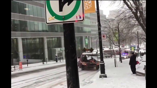 Ударил кенгуру hit kangaroo