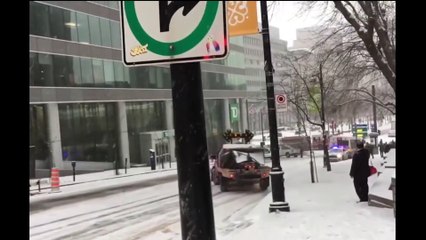 Ударил кенгуру hit kangaroo