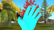 Bear Finger Family Rhymes Animated 3D Animal Finger Family Rhymes For Children