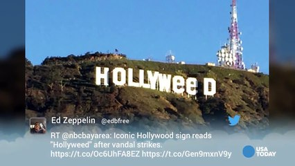 Iconic Hollywood Sign Now Reads 'Hollyweed'-61xJqni1kQk