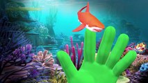 Dinosaurs Finger Family Songs | 3D Dinosaur Animals Finger Family | Dinosaur Cartoons For Kids