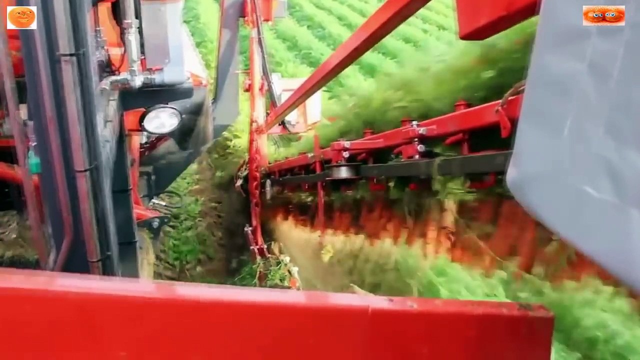 ТОП. САМЫХ НЕВЕРОЯТНЫХ ВИДЕО МИРА! Это Видео Потрясло Весь Мир! №903.