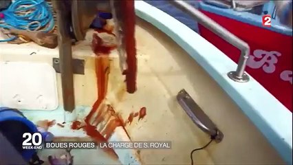 Boues rouges  - la charge de Ségolène Royal-gLEafAVU24k