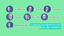 Fessenheim, gaz de schiste  - comparez les programmes des candidats à la primaire à droite-6DBTN7Y0QwQ