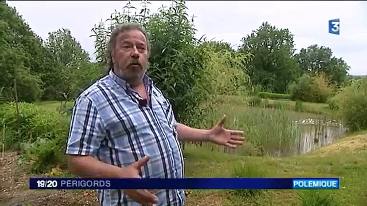 Grenouilles trop bruyantes !-MQ92AP5VEzg