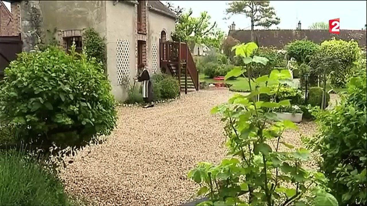 L'autohypnose - un nouveau remède contre la douleur-z0L-m2gvqfw