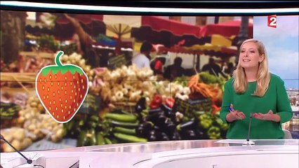 Les plantes médicinales à utiliser pour les bobos de l'été-yj7ROxsNZ24