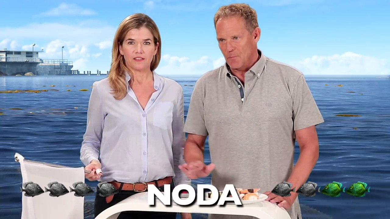FINDET DORIE - Sushi oder Stadt -  Disney HD-FuaghH0HQGE