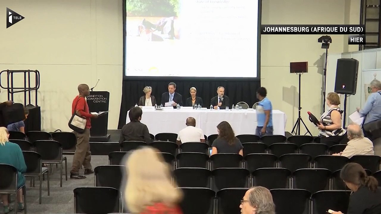 Le braconnage et l'urbanisation tuent les éléphants d'Afrique--S11RxfW2mo