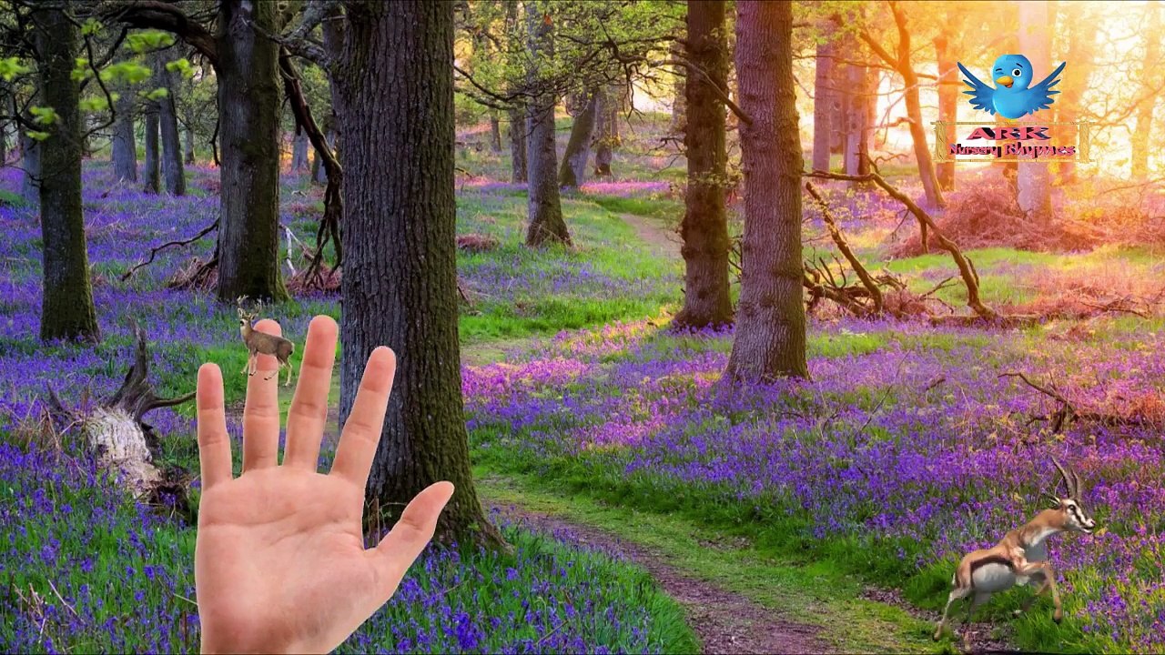 Ark Finger Family Rhymes For Kid | Black Cat Funny Deer Animals Cartoon Nursery Rhymes For Children