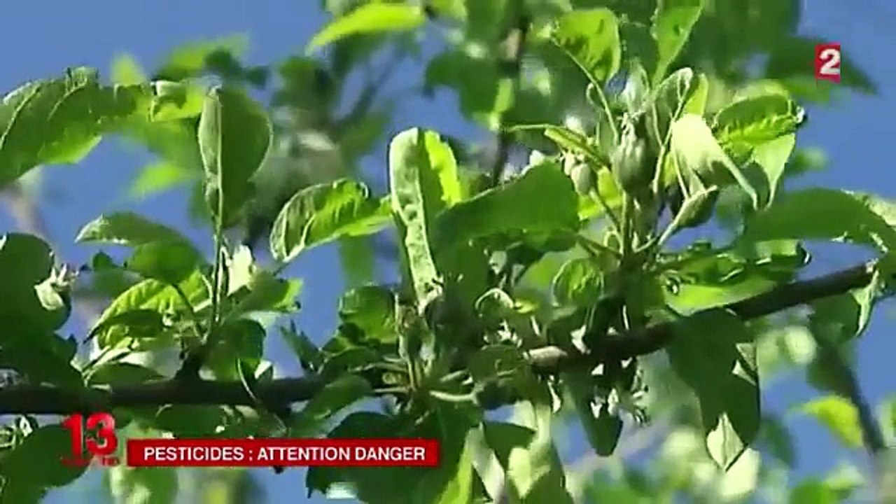 OMS dénonce les pesticides-3tOx3i84-Tc