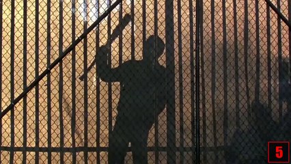 6 Fakten über THE WALKING DEAD!-CE4dCHeL-Ew
