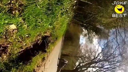 Мото приколы и неудачи лучшее .