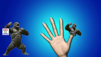 Finger Family King Kong Family Nursery Rhyme | King Kong Animal Finger Family Songs