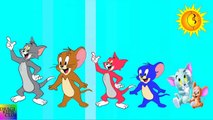 Finger Family Tom and Jerry | Tom and Jerry Nursery Rhymes Songs for Children and Babies