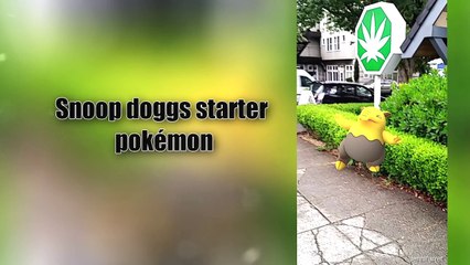10 lustige Pokémon Go Bilder!-Ei_GiKR-APQ