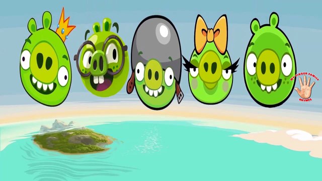 BAD PIGGIES Finger Family Nursery Rhymes | MY FINGER FAMILY RHYMES
