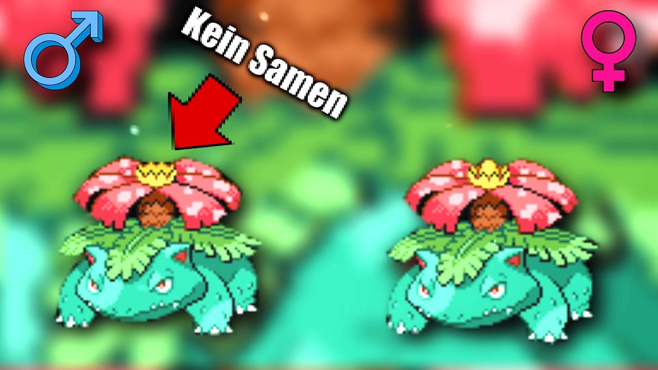 Pokémon Geschlechtsunterschied-sWvCki1Lin0