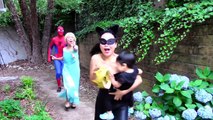 Catwoman & Catbaby vs Spiderman & Elsa: Stolen crown & Tiara funny superhero video