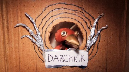 DABCHICK ~3~ Breadwinner-6mdJ8nyW-eU
