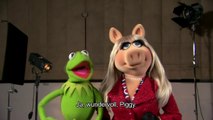 Kermit und Miss Piggy gratulieren William & Kate zur Geburt Ihres Sohnes!!! - Disney-14z2kqTLPQo