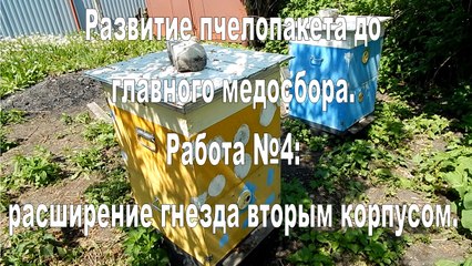 The development of bee packages. Work №4: Expansion slot the second body.