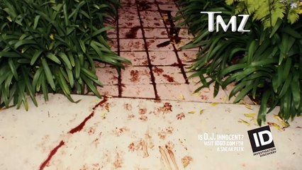 Harvey Talks About The New Series 'Is O.J. Innocent The Missing Evidence' _ TMZ-6BroEPcXBuI