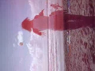 Bolas sobre la playa