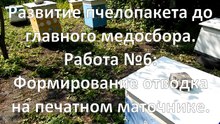 The development of bee packages. Work №6: Formation cuttings bees on hard liquor.