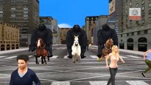 King Kong Finger Family Nursery English 3D Rhymes | Children Animated finger family songs HD