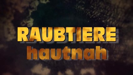 National Geographic: Тайная жизнь хищников. В лесах