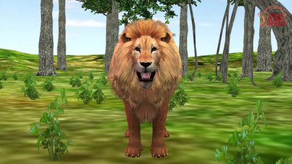 Learning Animal Sounds Lion & Bull Children Nursery Rhymes | Lion Vs Bull Fight