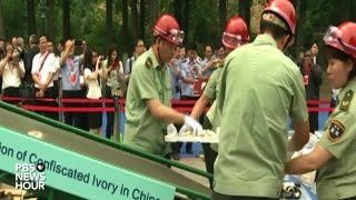 China will ban ivory trade by the end of 2017-Cl1pGWCxeJY