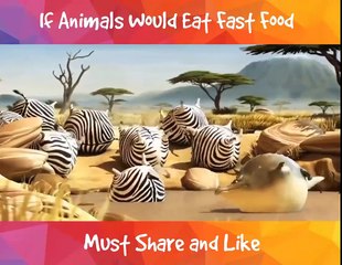Funny Video - If Animals Would Eat Fast Food
