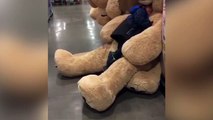 Un gamin mangé par un ours... en peluche